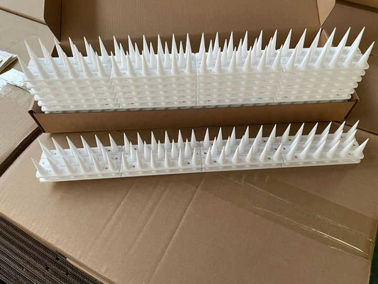 Einfache Installation von Vogelschutz-Spikes aus Kunststoff