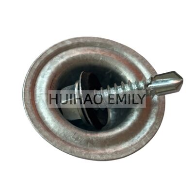 Galvanisierte Metalldachschraube, Waschkappen, Waschschutz, Wellbelagerte Dachplatte, Schraube