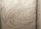 Dekorativer entwirft ineinandergegriffener Vorhang Jacks Aluminiumhaken Muster-Auftritt